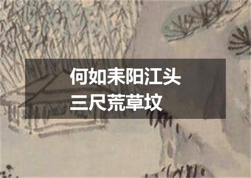 何如耒阳江头三尺荒草坟