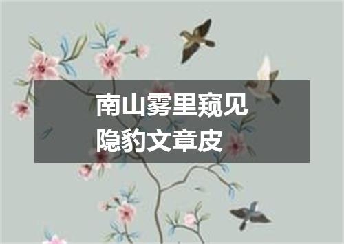 南山雾里窥见隐豹文章皮