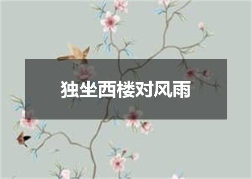 独坐西楼对风雨