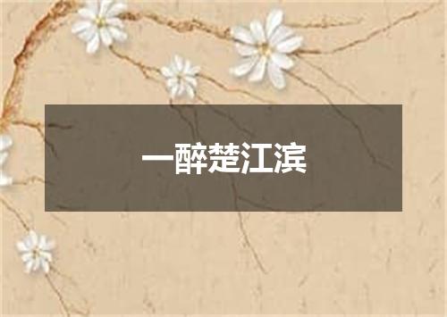 一醉楚江滨
