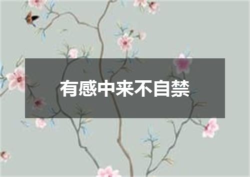 有感中来不自禁