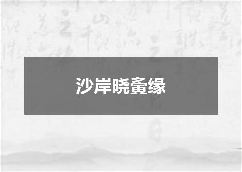 沙岸晓夤缘