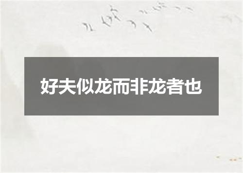 好夫似龙而非龙者也