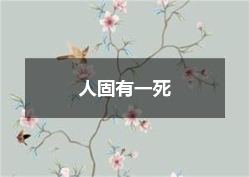 人固有一死
