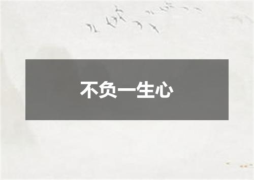 不负一生心