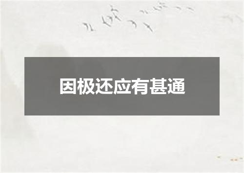 因极还应有甚通