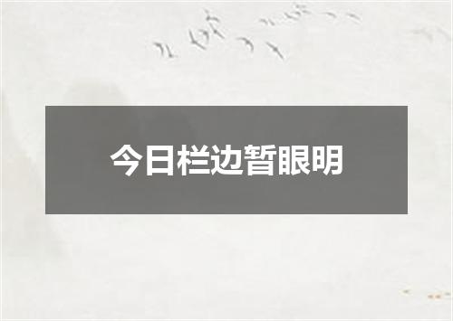 今日栏边暂眼明