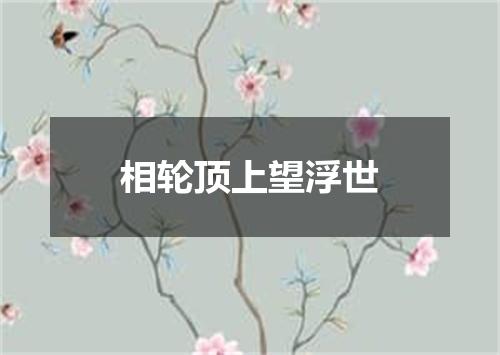 相轮顶上望浮世