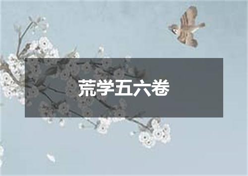 荒学五六卷