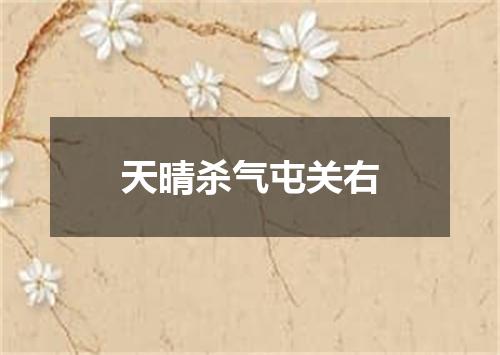 天晴杀气屯关右