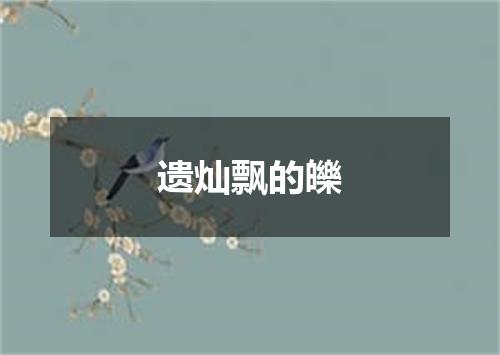 遗灿飘的皪