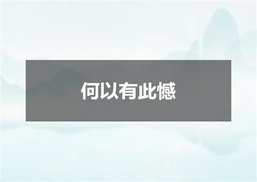 何以有此憾