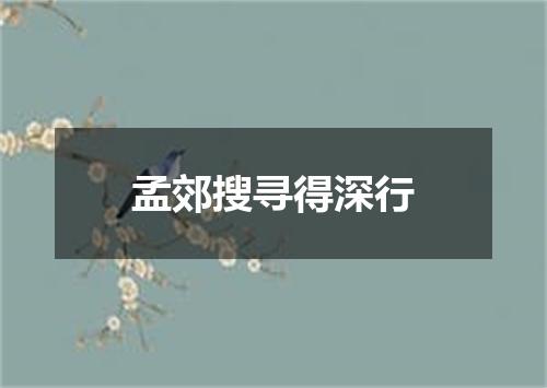 孟郊搜寻得深行
