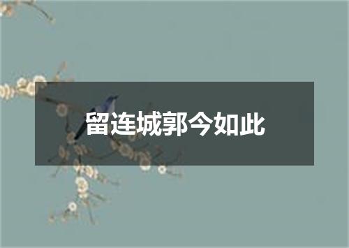 留连城郭今如此