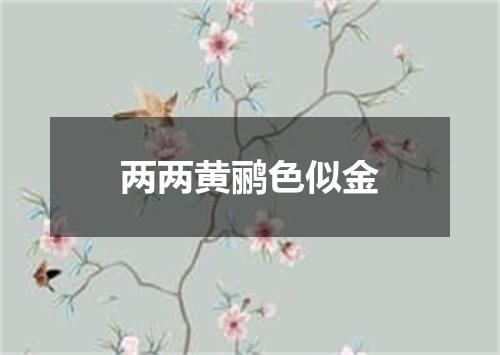 两两黄鹂色似金