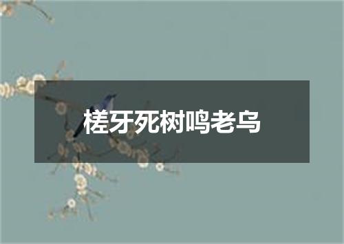 槎牙死树鸣老乌