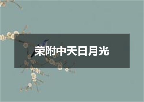 荣附中天日月光