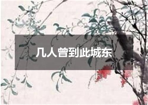 几人曾到此城东