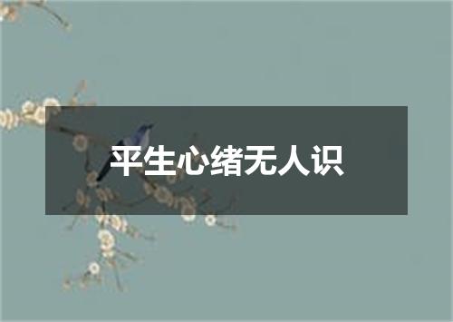 平生心绪无人识