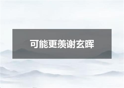 可能更羡谢玄晖