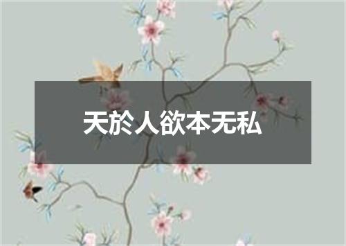 天於人欲本无私