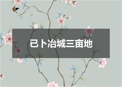 已卜冶城三亩地