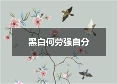 黑白何劳强自分