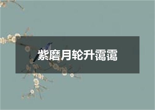 紫磨月轮升霭霭