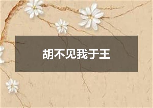 胡不见我于王