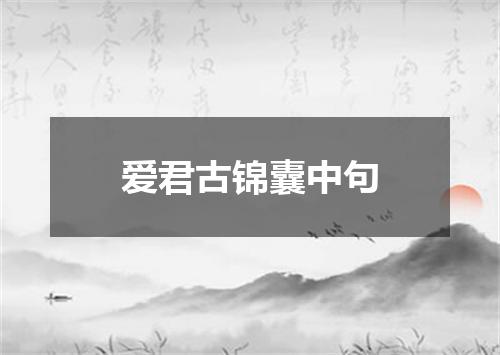 爱君古锦囊中句