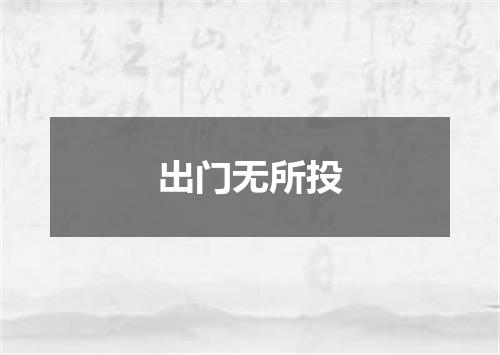 出门无所投