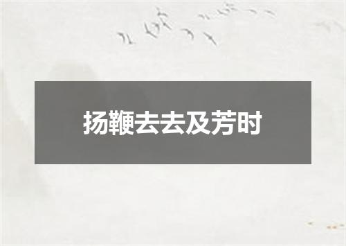 扬鞭去去及芳时