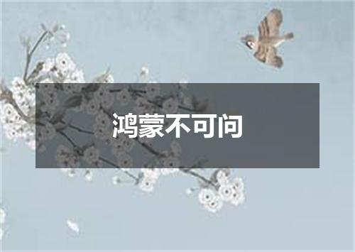 鸿蒙不可问