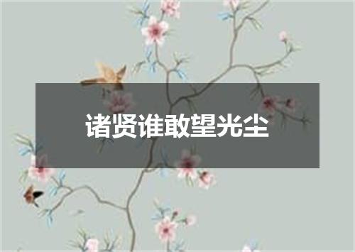 诸贤谁敢望光尘