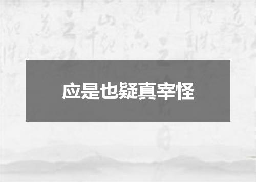 应是也疑真宰怪