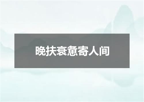晚扶衰惫寄人间