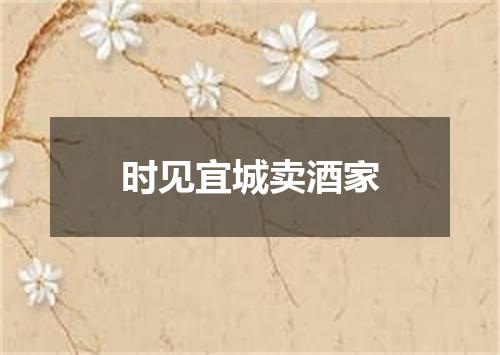 时见宜城卖酒家