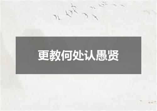 更教何处认愚贤