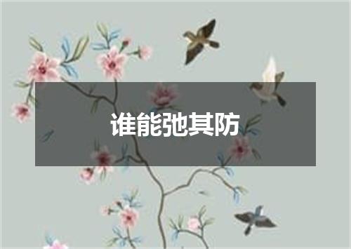 谁能弛其防