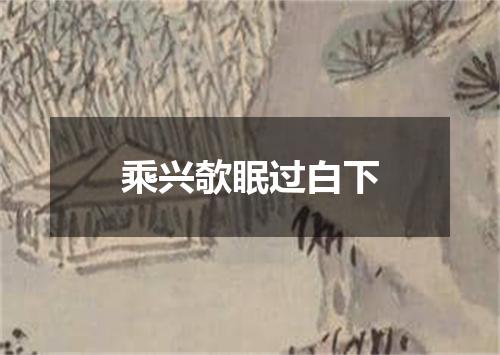 乘兴欹眠过白下