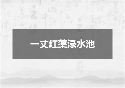 一丈红蕖渌水池