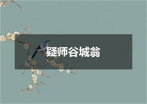 疑师谷城翁