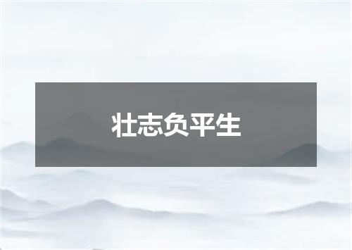 壮志负平生