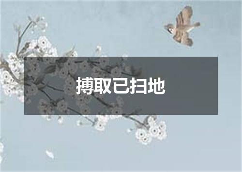 搏取已扫地