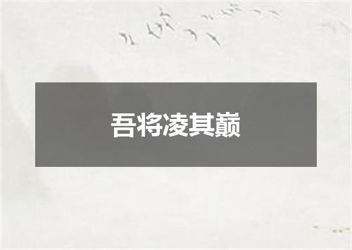 吾将凌其巅