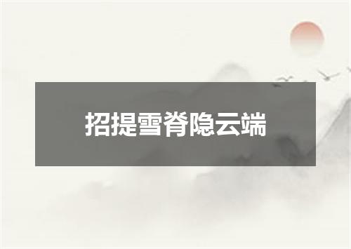 招提雪脊隐云端