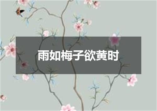 雨如梅子欲黄时