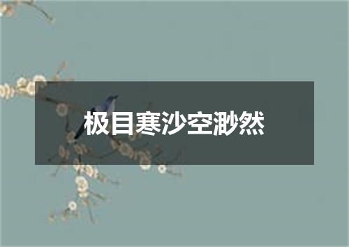 极目寒沙空渺然