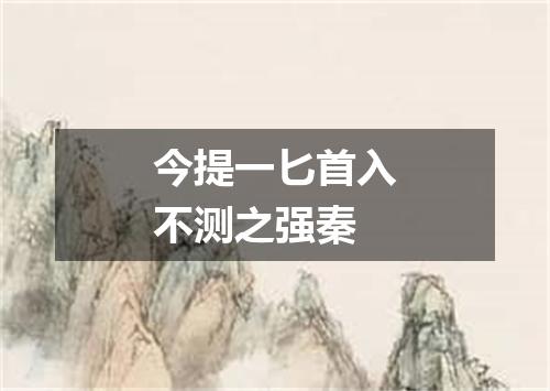 今提一匕首入不测之强秦