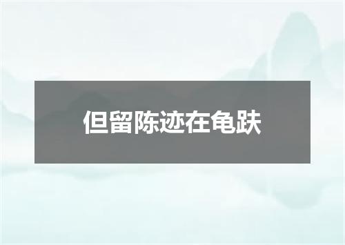 但留陈迹在龟趺